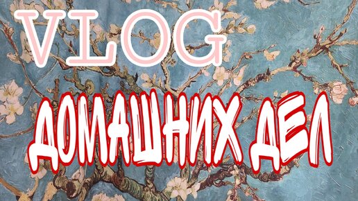 VLOG Домашних дел #3