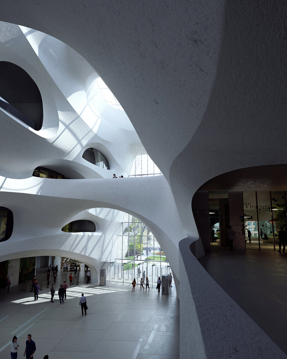 Studio Gang | Mir. | The Richard Gilder Center