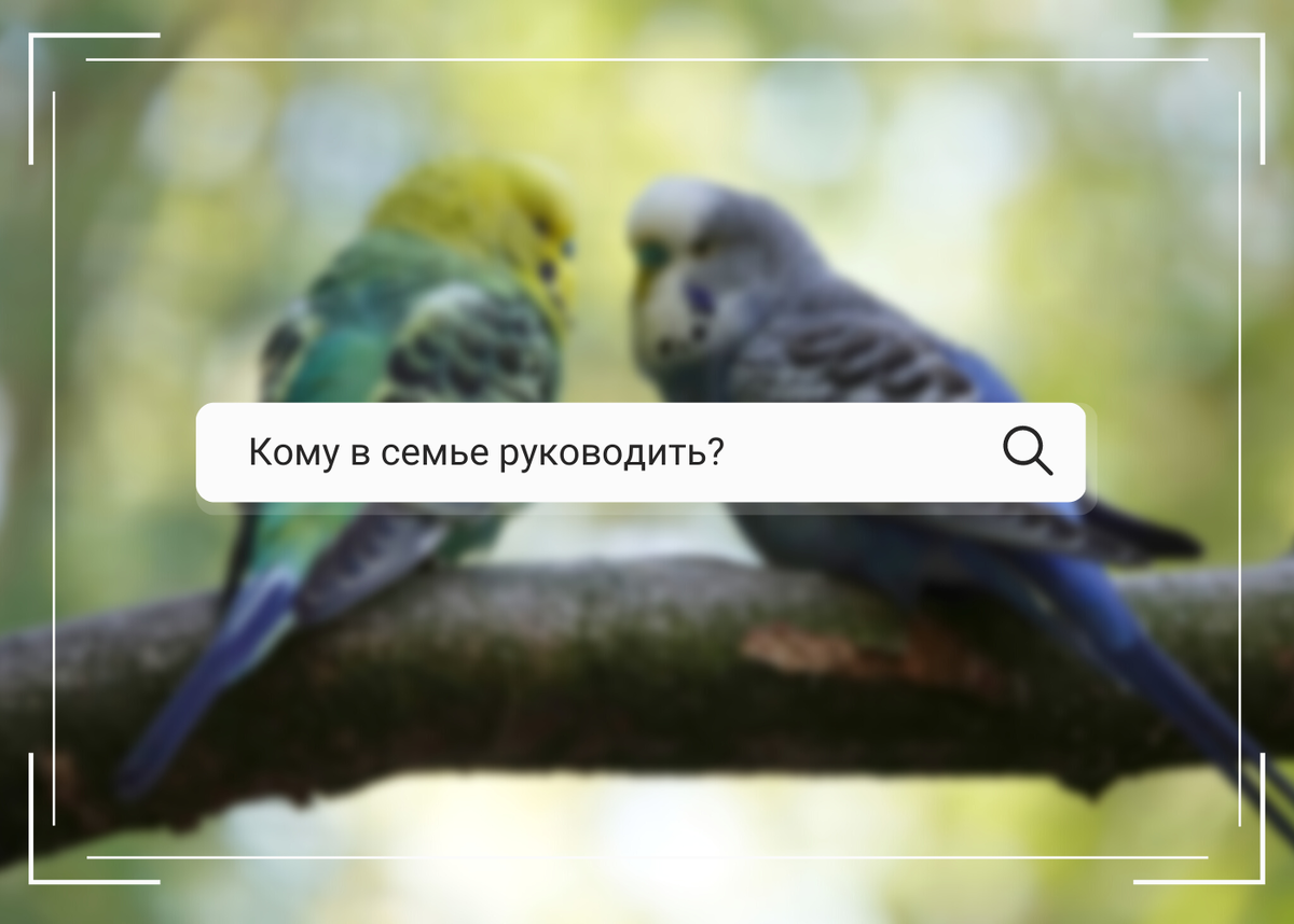 кто в доме главный