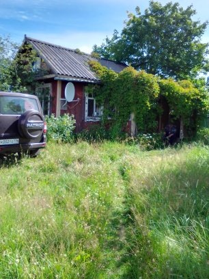 Август на даче