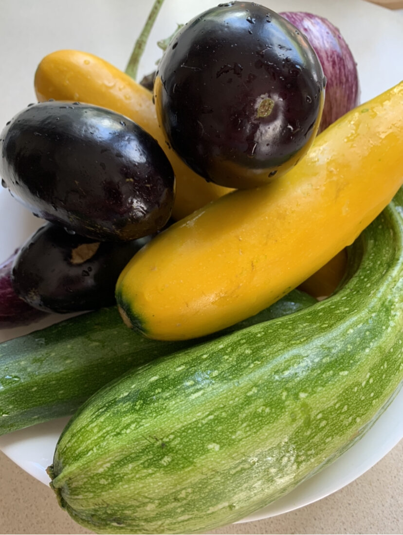 Фото автора. Вот такие кабачки и баклажаны растут у меня на грядках. Как я их выращиваю и ухаживаю за ними, буду делиться с вами, мои дорогие читатели. Подписывайтесь на канал, чтобы быть в курсе новых и полезных выпусков канала. 