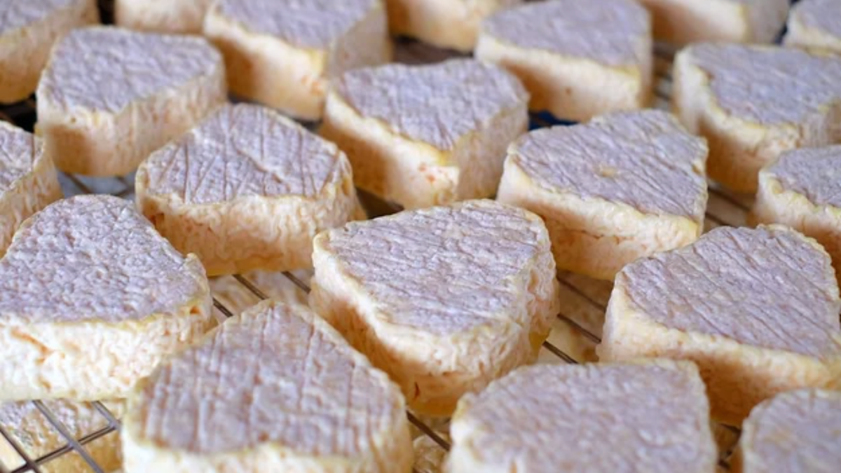 Сыр с плесенью «Сердце»