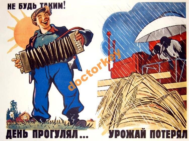 Изображение из открытых источников