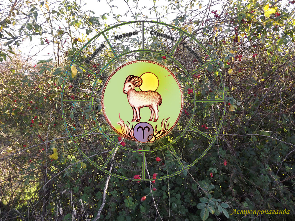 Коллаж Нины Стрелковой. 