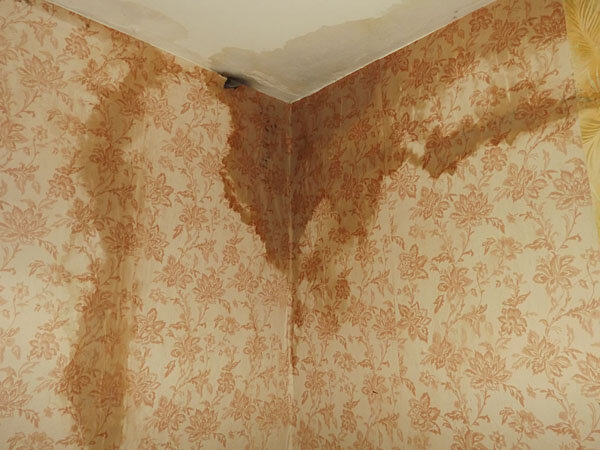 Приблизительное фото из сети интернет.