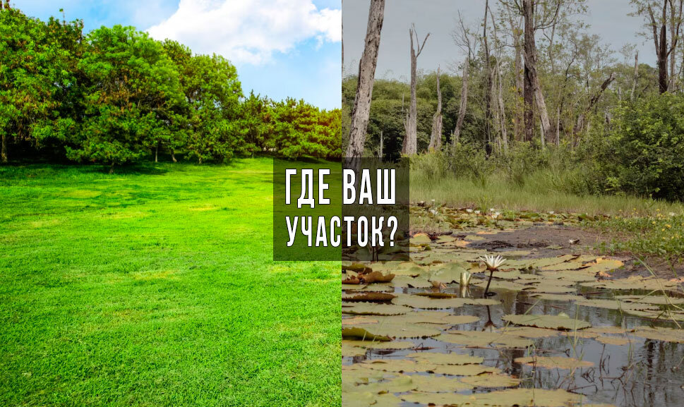 Как убедится что вам показывают верный земельный участок?