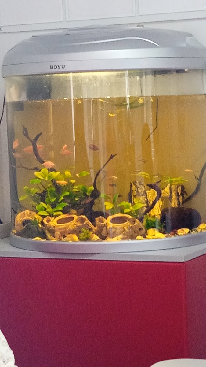 В офисе нотариуса