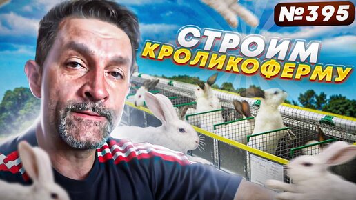 Строительство «КроликоФермы» началось!