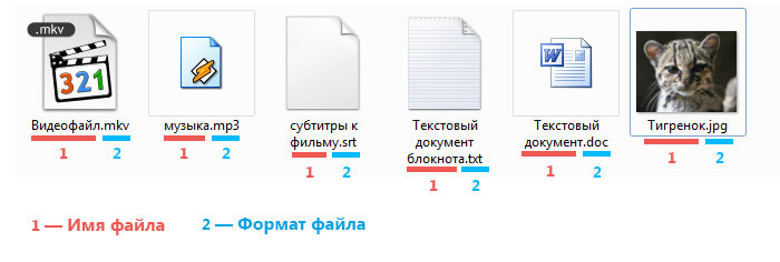 Что такое имя файла? Как и в реальной жизни, где у каждого есть имя,  так и файлов есть название, которое позволяет отличать один от другого, например:  Что такое формат или расширение файла? Разные файлы открываются по-разному, в зависимости от того, какой тип информации они несут (например, музыку компьютер открывает одним способом, а текст совершенно другим). Чтоб компьютер «знал», как и чем открывать файл, ему необходимо «понять», что ж за файл перед ним, «познакомиться» с ним. Имя его он видит сразу, но ему мало, надо знать еще и фамилию. Все файлы одного типа — братья и сестры, они носят одну фамилию, которая объединяет их всех. Эта фамилия и есть формат (расширение) файла. То есть формат  (расширение)- это конкретный тип файла, его спецификация.  Формат, как видно на картинке выше, пишется после имени документа и всегда начинается с точки. Например, файл музыки формата .mp3 или видеофайл формата .mkv. Компьютер считывает «фамилию» файла, определяет из какого он семейства и предлагает открыть той уже установленной на компьютере программой, которая работает с такими файлами.