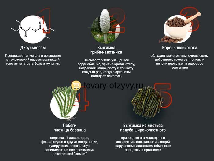 Приложение:Заимствованные слова в русском языке — Викисловарь