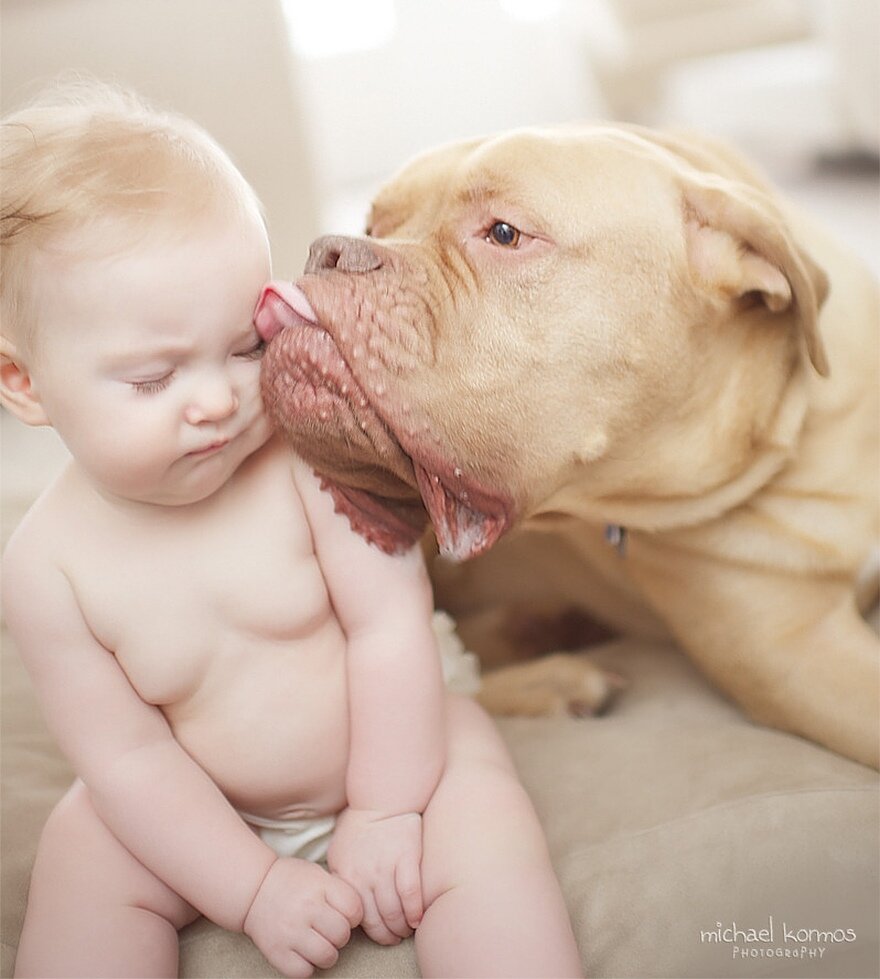 Люблю больших собак. Собака для детей. Малыш и собака. Добрые собаки для детей. Самые трогательные животные.