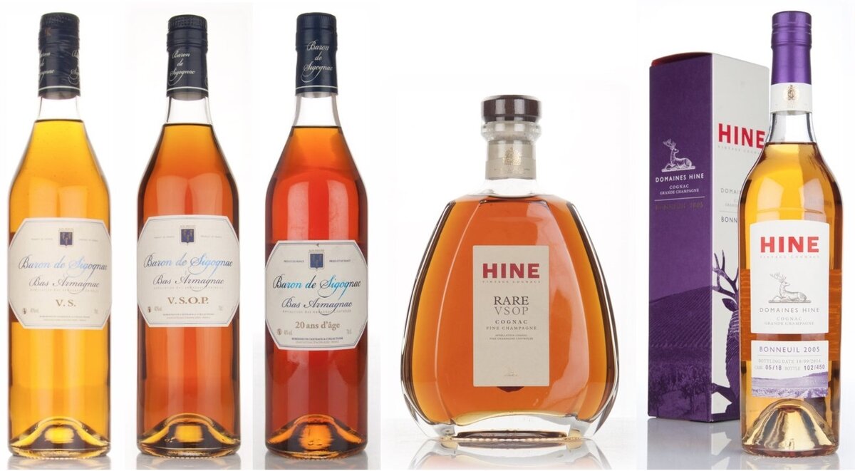 Отличие бренди. Коньяк Арманьяк vs. Armagnac Cognac. Виски Арманьяк. Яблочный коньяк Арманьяк и.