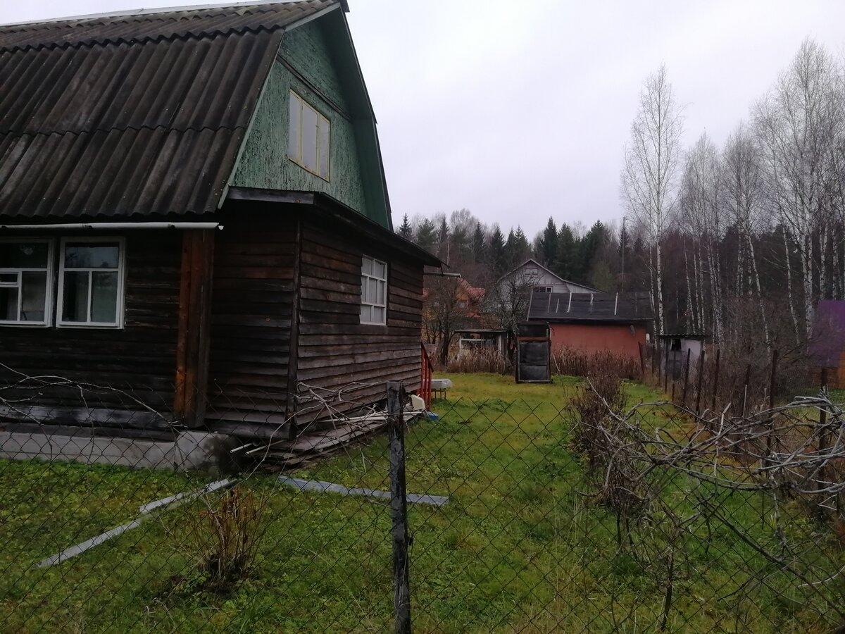 У соседей по даче душ непонятно из чего сделан.