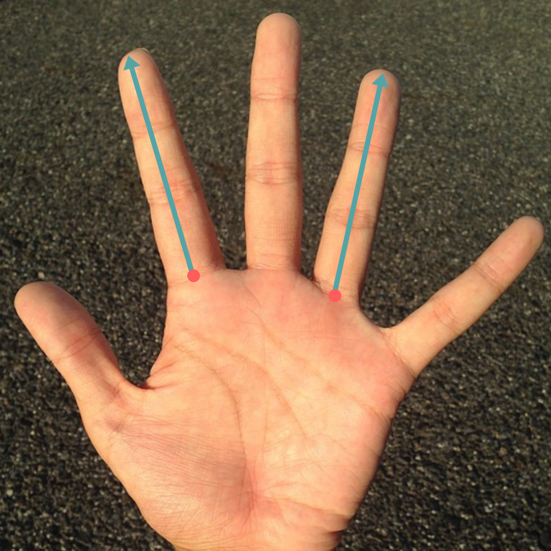 арахнодактилия паучьи пальцы тонкие. длинные пальцы. брахидактилия мизинцев. длинный мизинец на руке. арахнодактилия паучьи пальцы эстетика.