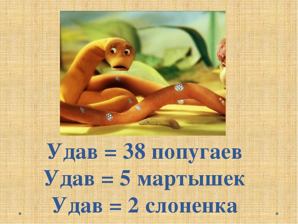 Удав характеристики. 38 Попугаев измерение удава. 38 Попугаев измерить длину удава. Чем измеряют длину удава в мультфильме 38 попугаев.