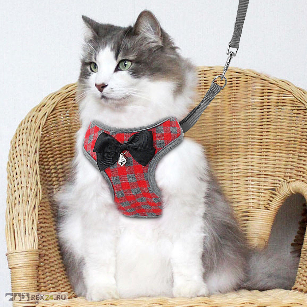 Фото: inttorg.ru