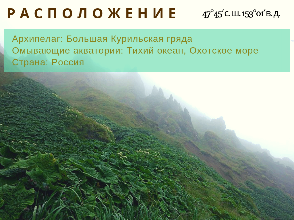 Подписывайтесь на канал, проявляйте активность в виде лайков и комментариев.