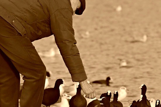 Фото: pixabay.com