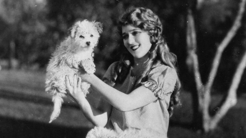  Мэри Пикфорд. Источник: https://www.npr.org/2018/02/27/589061990/mary-pickford-darling-of-the-silver-screen-to-major-hollywood-force