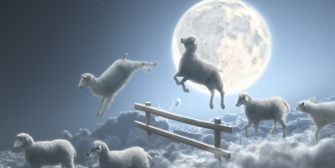 Говорят, для быстрого засыпания надо считать овец.