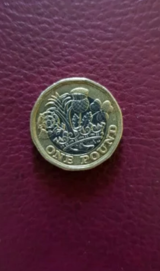 Фото взято с сайта Авито.