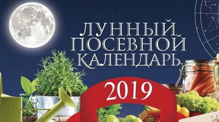 Фото из общего доступа сети Интернет