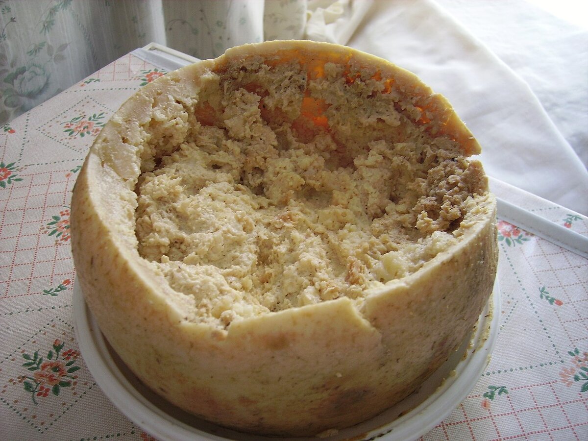 Сыр Касу марцу.