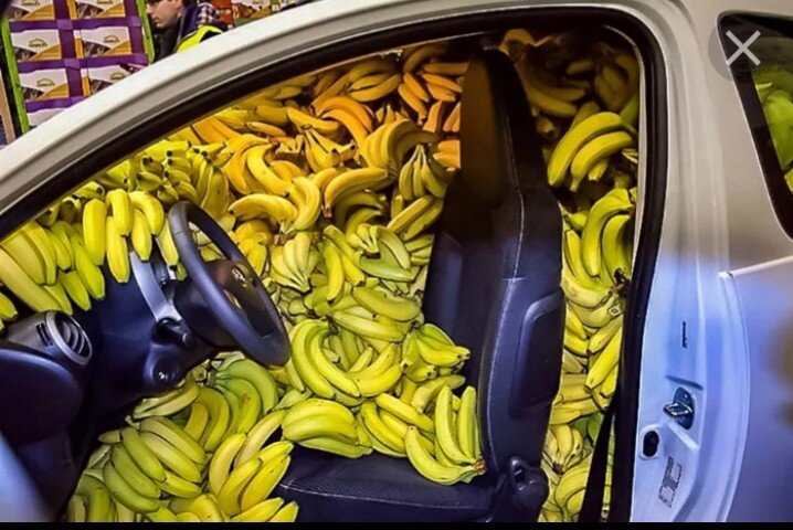 Фото с Яндекс картинки.