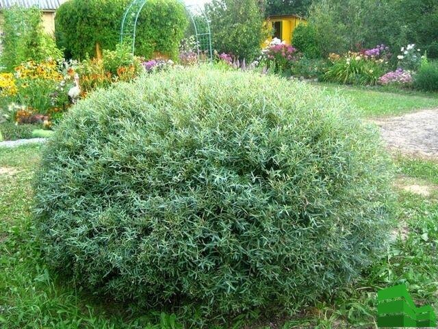 Учет условий