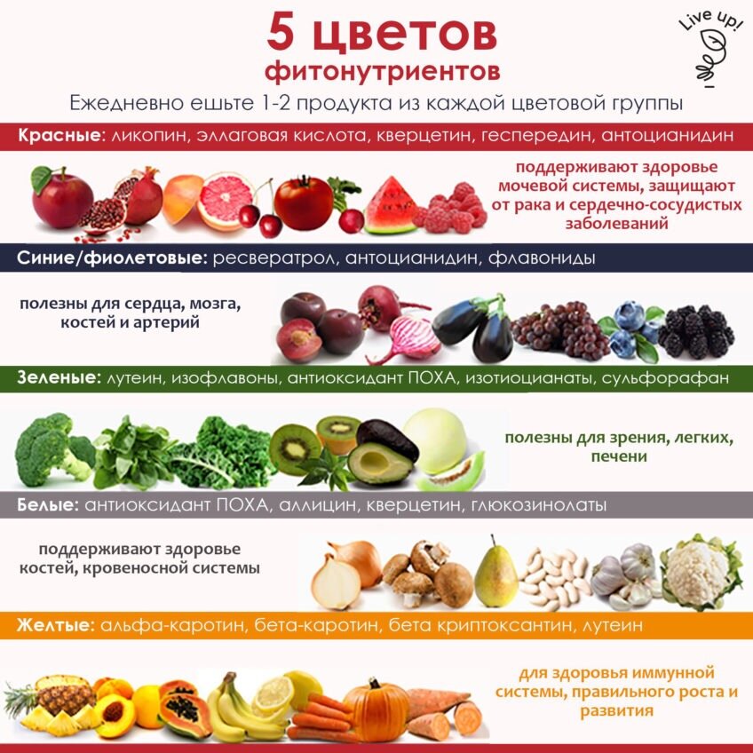 Полезнай фрукты и овощи. Какие продукты влияют на вкус. Полезные овощи и фрукты. Таблица овощей и фруктов. Полезность фруктов и овощей.