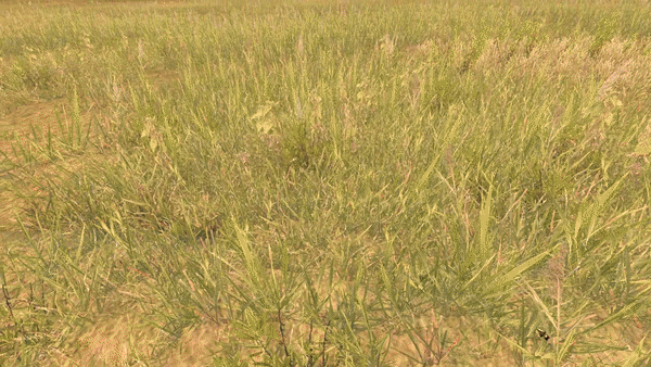 Это ещё не предел.