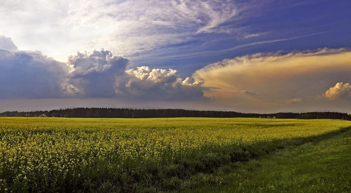 Фото – photocentra.ru