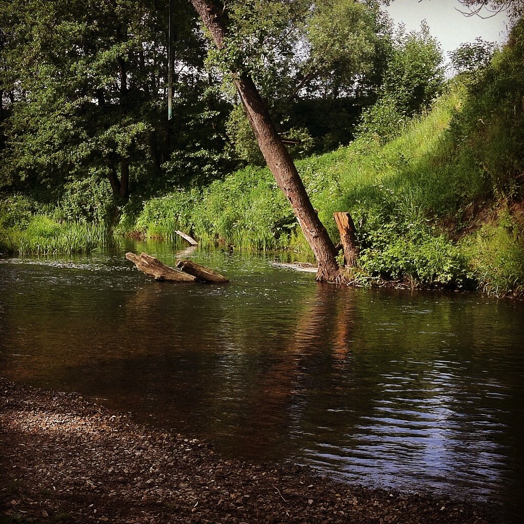 Село быстрянка карта