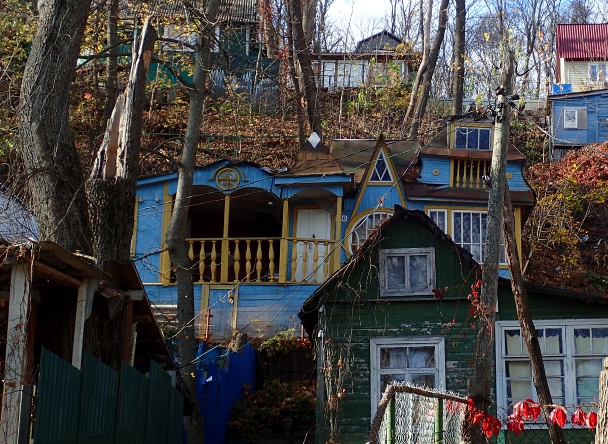 Этот дом описывают в сети, как дом помещика Немчинова