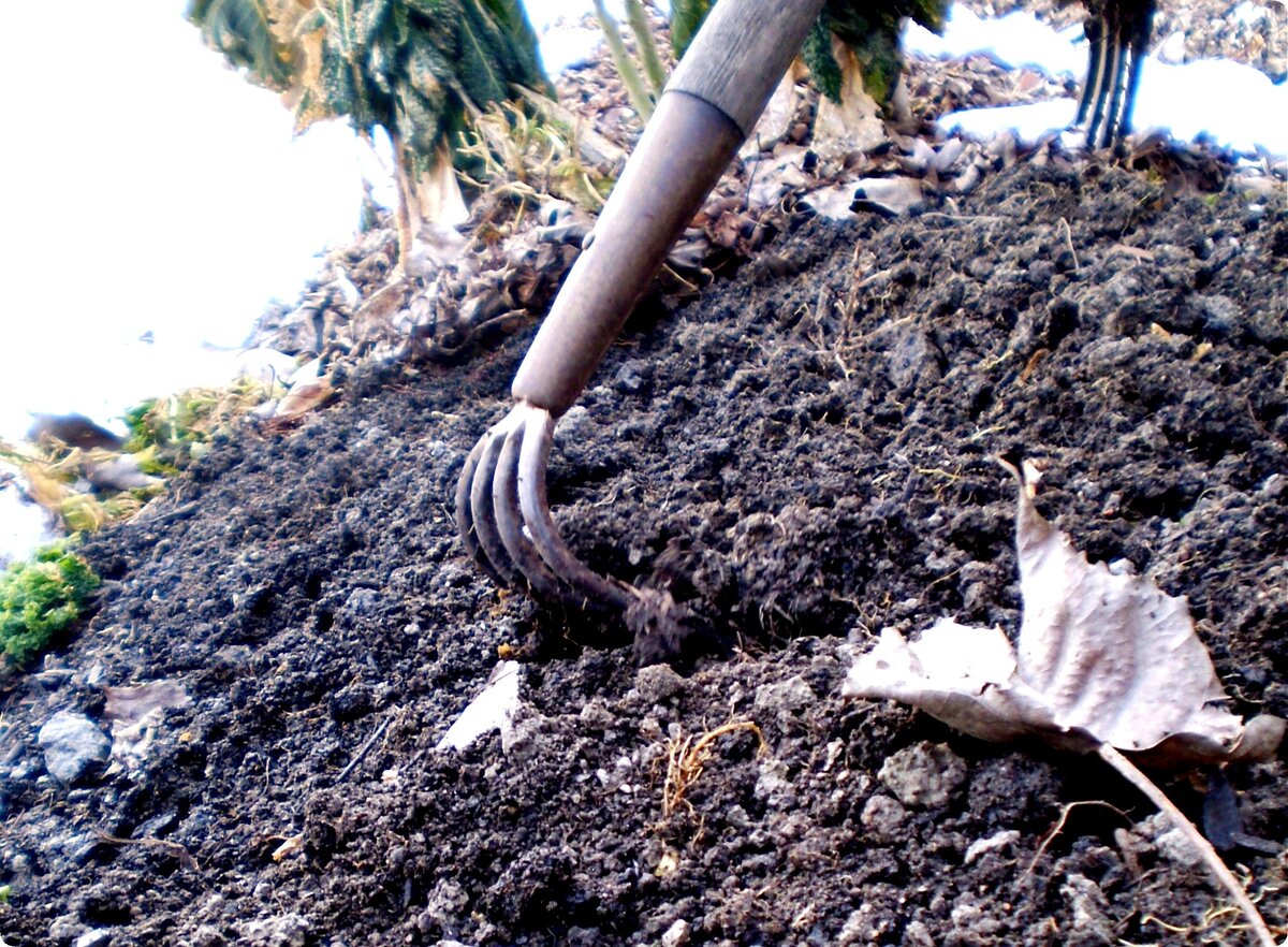 Фото от автора