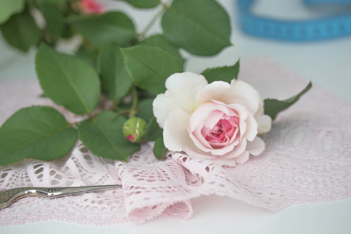 Минута красоты - для вдохновения... 