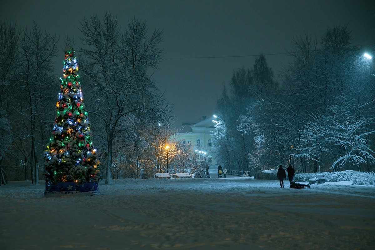 (Фото: Сергей Сыродоев)