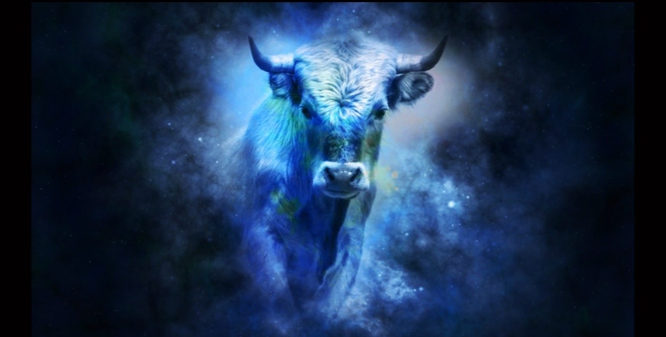 Подписывайтесь на мой канал. Так вы поддержите меня - молодого автора 