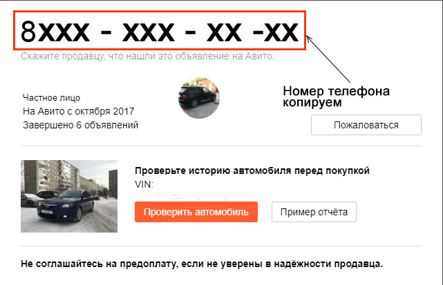 Фотография из открытых источников.