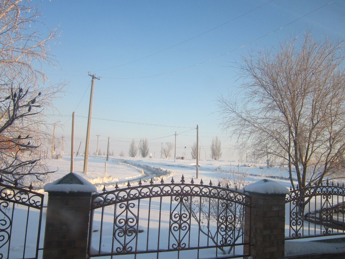 Фото автора. 8 февраля 2020 г.