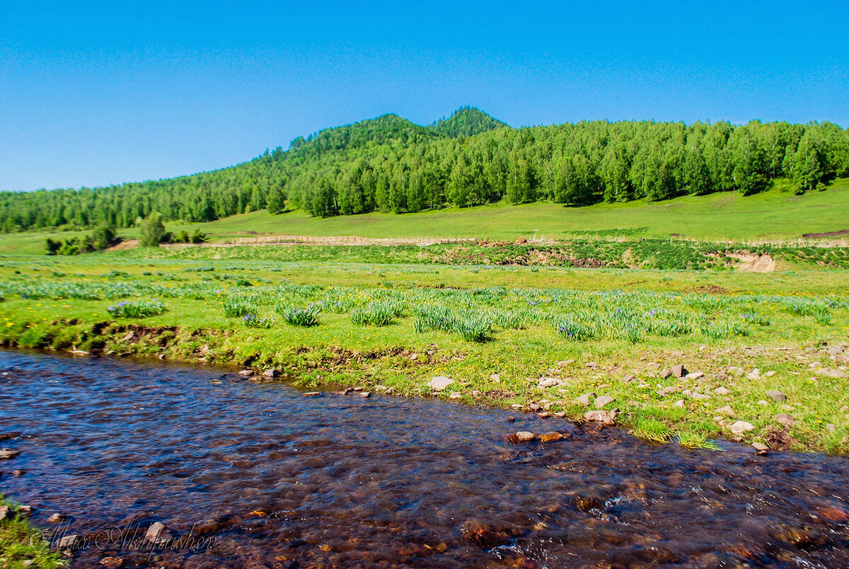 Реки сибири фото