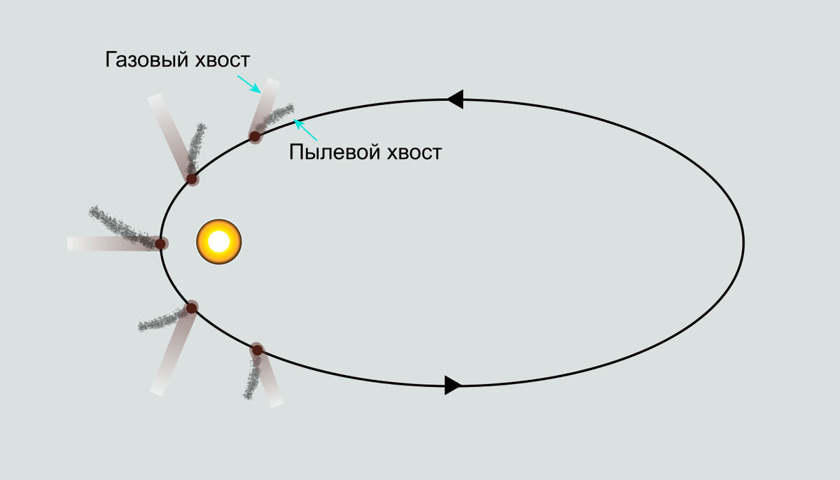 Почему у кометы хвост. Движение кометы вокруг солнца. Направление хвоста кометы. Куда направлен хвост кометы. Хвост кометы вокруг солнца.