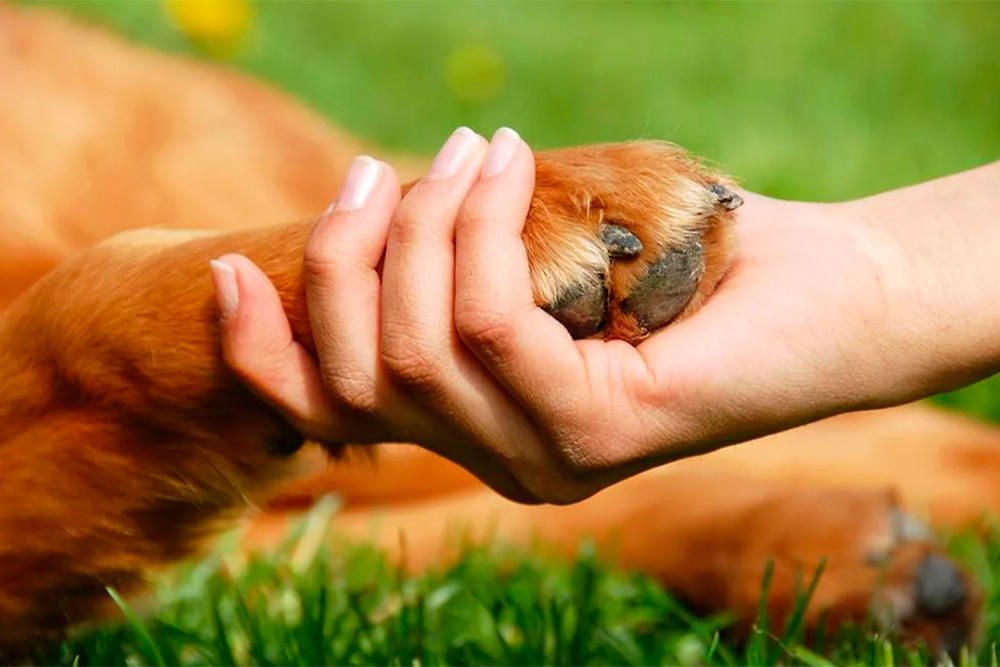 Фото взято из открытых источников