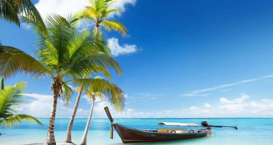 Фотография взята из источника desktopwallpapers.ru