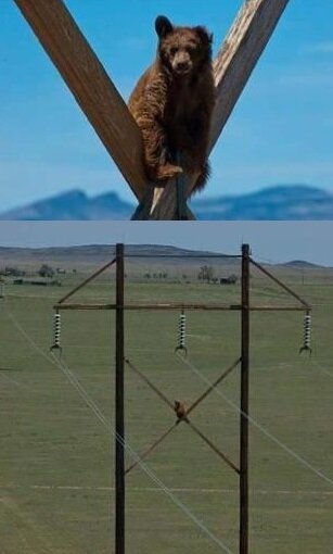 Яндекс Картинки