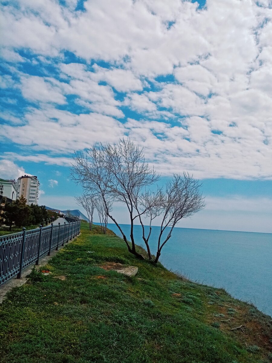 Наверно на роду у меня было написано, что жизнь моя будет состоять сплошь из сборов чемоданов и разборов на новом месте. 22 года я прожила под строгим маминым "колпаком". Появилась возможность и я выпорхнула из родительского гнезда, и неслась навстречу новой жизни и приключениям порхая и кружась, и сметая всё на своем пути.              Первый переезд был в Ростов-на-Дону. Большой город, новые знакомства, новая сфера деятельности, голова кружилась от изобилия возможностей. В голове мысли и идеи фонтанировали бурным потоком. Для меня это был своего рода квест - пройти и выйти победителем. 

           Опуская переезды по городу с квартиры на квартиру, следующая точка нового чемоданного периода - Батайск. Маленький, тихий, спокойный,компактный, совсем рядом с любимым шумным Ростовом. И главное, здесь строится семья! Мы также мечемся в поисках лучшего для нашей семьи места проживания. Пожив и на съемном жилье, и с родными, понимаем смысл поговорки "чем дальше, тем роднее" и вновь съезжаем.

          Снова Армавир! Да так вышло. Так надо было, чтобы мы переехали ко мне на Родину. Грустно с каждым днем от того, что скорее всего это навсегда и в любимый Ростов мы не вернемся. Спокойным этот период совсем не назовешь, взлеты и падения, депрессия сменялась умиротворением и принимая помощь близких мысли в голове были только одного плана - как выжить здесь и не сойти с ума.

        "У меня к тебе предложение! Рассматриваешь переезд в Анапу с повышением по службе?" Как снег на голову это предложение, снова рой мыслей, и снова улыбка на лице: "Ну что милый, собираем чемоданы и переезжаем?" Когда меня спрашивают, навсегда ли мы здесь останемся? Я только могу улыбнуться в ответ и ответить: "Поживем, увидим"