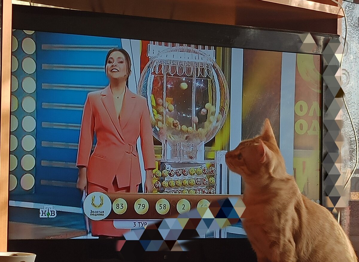 Мой кот живо интересуется розыгрышем лотореи. 😃
