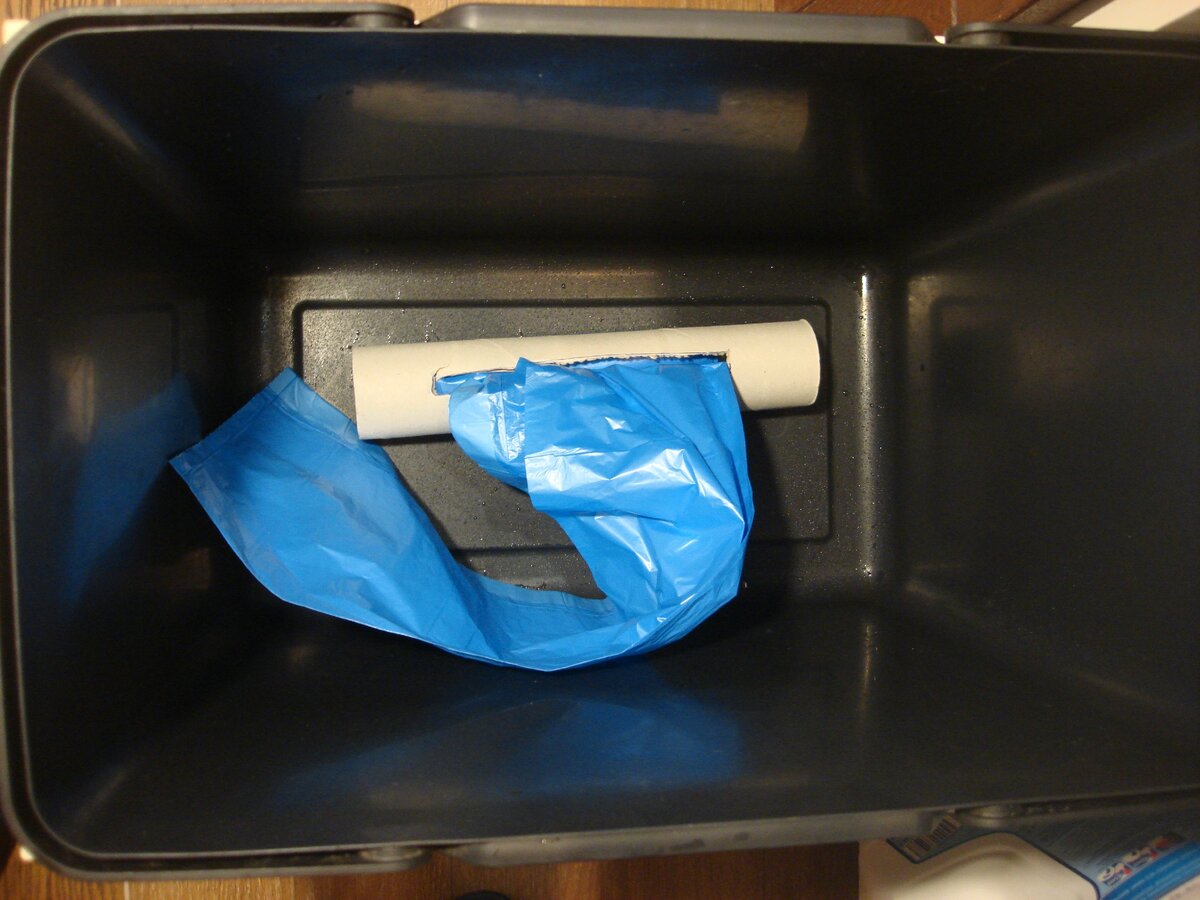 Фото сделано автором (положила в ведро)