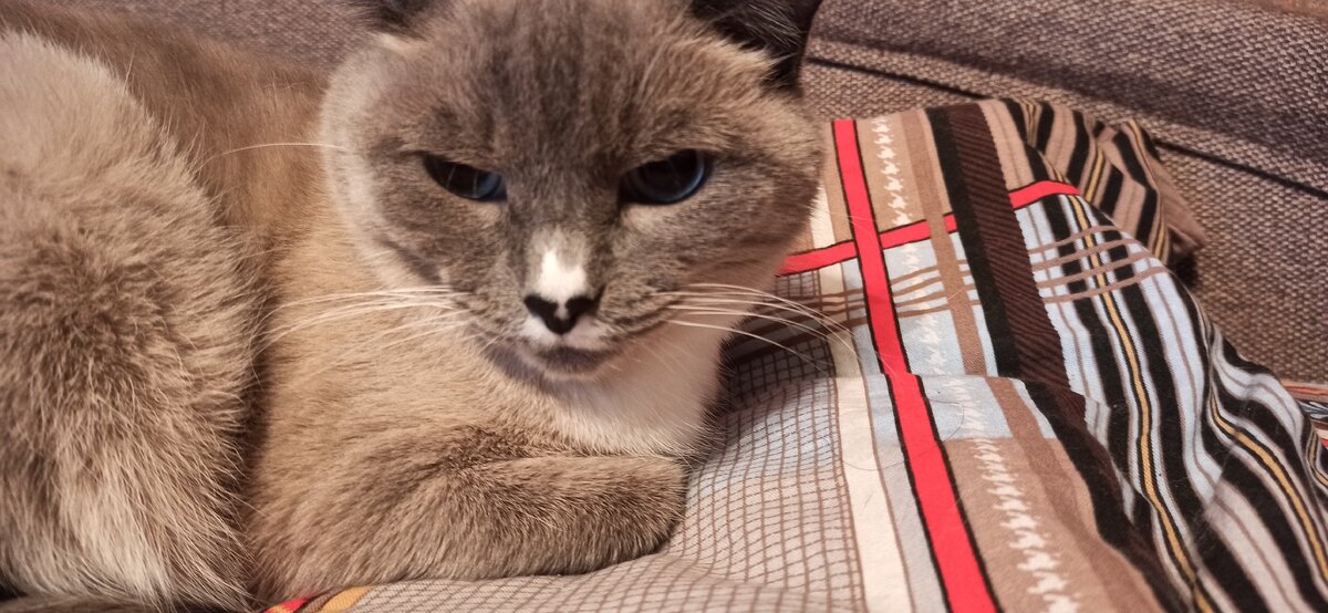 Грозный взгляд