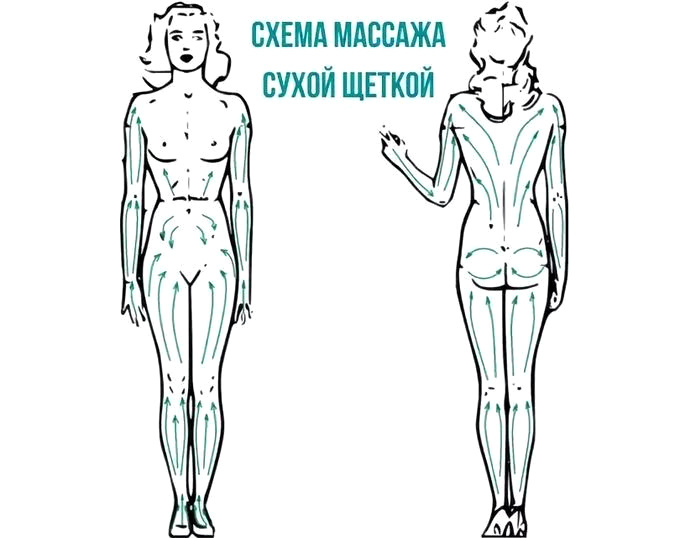 Я делаю массаж по такой схеме. Особое внимание уделяю ногам и ягодицам.